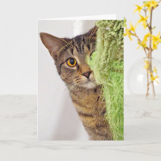 Het krijgen van Oude Verjaardag Tabby Cat Kaart (Gele Bloem)