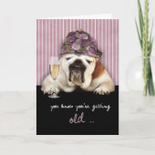 het krijgen van oudere, gelukkige verjaardag, kaart (Voorkant)