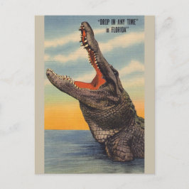 Het KrokodilleBriefkaart van vintage Florida Briefkaart