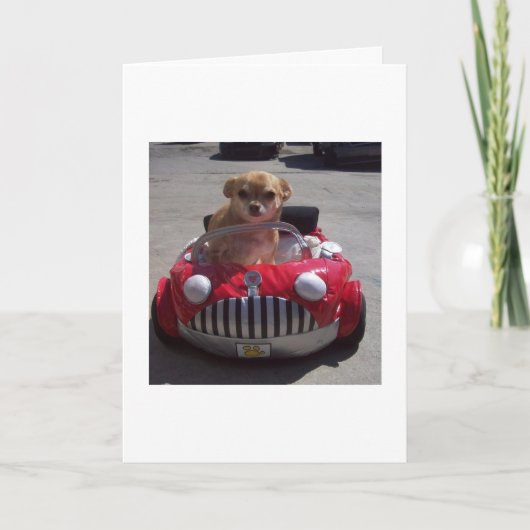 Het kruisen door kaarten (Voorkant)