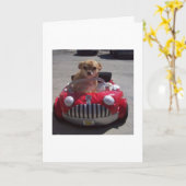 Het kruisen door kaarten (Gele Bloem)