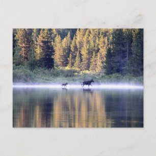 Het kruisen van de mist briefkaart