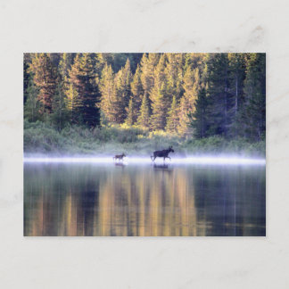 Het kruisen van de mist briefkaart