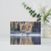 Het kruisen van de mist briefkaart (Staand voorkant)