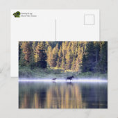 Het kruisen van de mist briefkaart (Voorkant / Achterkant)