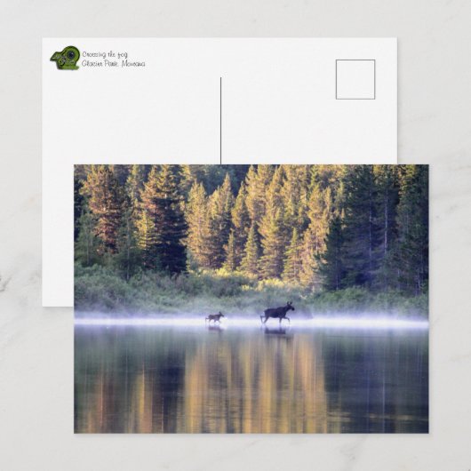 Het kruisen van de mist briefkaart (Voorkant / Achterkant)