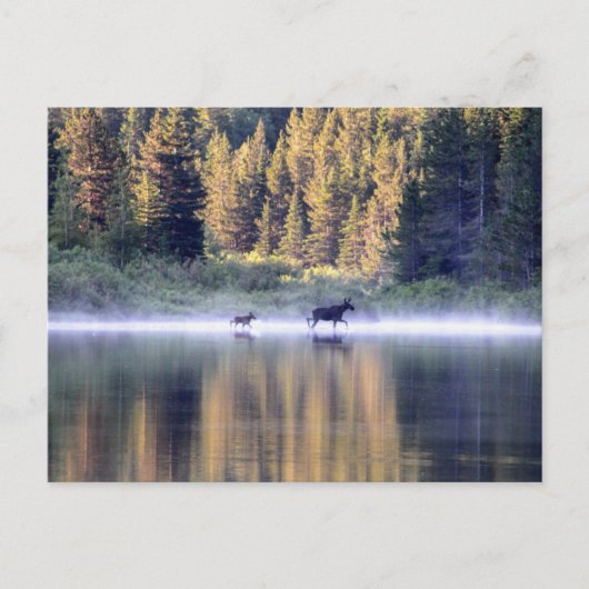 Het kruisen van de mist briefkaart (Voorkant)