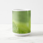 Het krullen van de Bladeren van Fern, Greenery, Bl Koffiemok (Center)