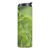 Het krullen van de Bladeren van Fern, Greenery, Bl Thermosbeker (Gedraaid links)