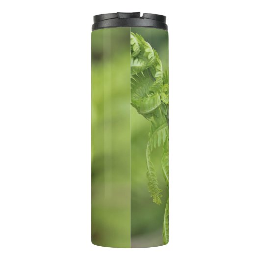 Het krullen van de Bladeren van Fern, Greenery, Bl Thermosbeker (Achterkant)