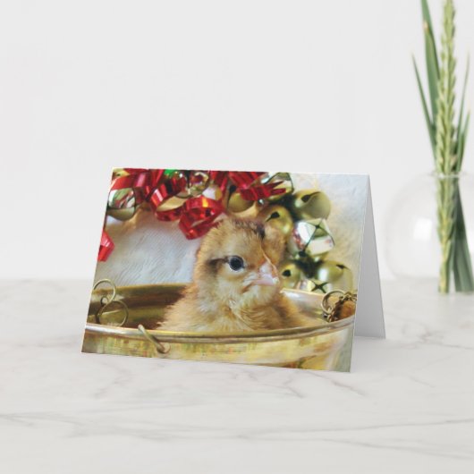 Het Kuiken van Kerstmis Feestdagen Kaart (Voorkant)