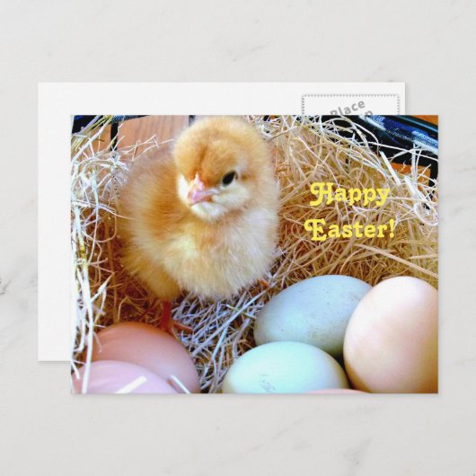 Het Kuiken van Pasen in het Briefkaart van de Mand (Voorkant / Achterkant)
