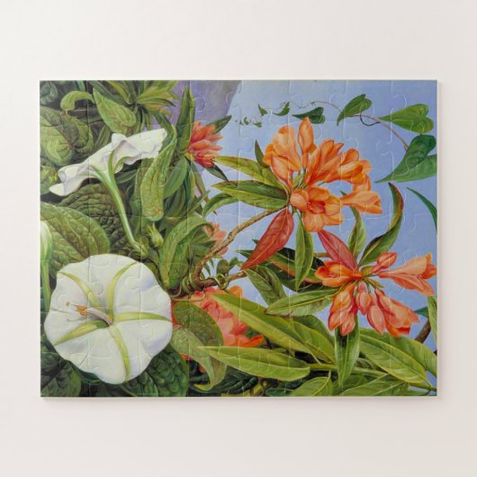 Het kunstwerk van Marianne North, A Javan Rhododen Legpuzzel (Horizontaal)