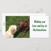 Het kussen Kerstmis van de Honden van het Feestdagenkaart (Voorkant / Achterkant)