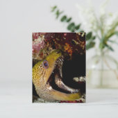 Het kwetsen en intimideren van de mond van een gee briefkaart (Staand voorkant)