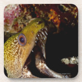 Het kwetsen en intimideren van de mond van een gee drankjes onderzetter (Voorkant)