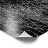 Het laatste bericht foto afdruk (Hoek)