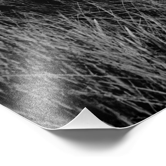 Het laatste bericht foto afdruk (Hoek)