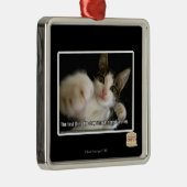 Het laatste metalen ornament (Rechts)