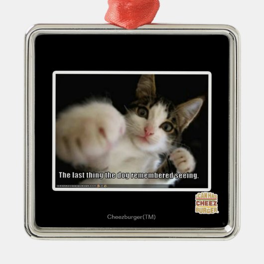 Het laatste metalen ornament (Voorkant)