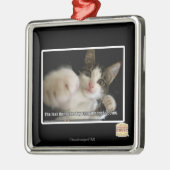 Het laatste metalen ornament (Links)