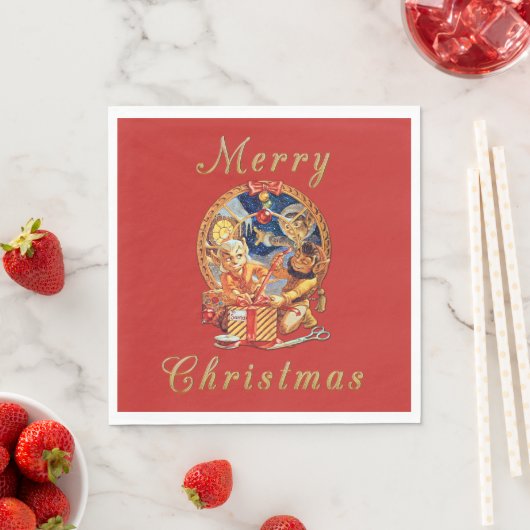 Het laatste pakket servet (Insitu)