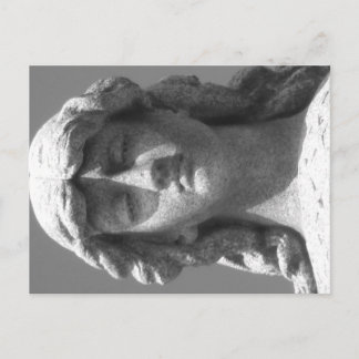 Het laatste Roos 3 zwarte en witte Briefkaart