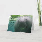 Het Laatste stuk van de Verjaardag van Manatee van Kaart (Voorkant)