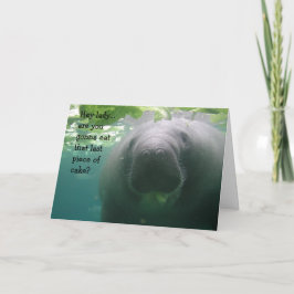 Het Laatste stuk van de Verjaardag van Manatee van Kaart