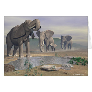 Het laatste watersegal