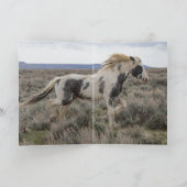 Het laatste Wenskaart van Thor (Binnen)