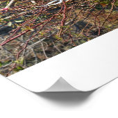 Het laatste wiel poster (Hoek)