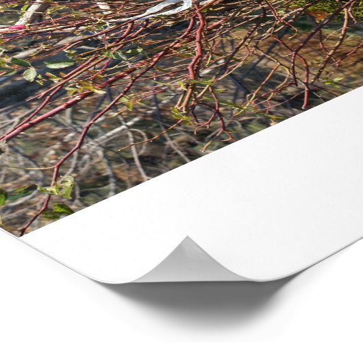 Het laatste wiel poster (Hoek)