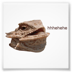 Het lachen de Hagedis van HeHe van de Leguaan Foto Afdruk