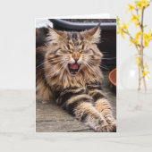 Het lachen kattenwenskaart kaart (Gele Bloem)