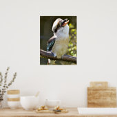 Het lachen Kookaburra die op tak Briefkaart Squ wo Poster (Keuken)