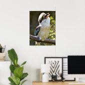 Het lachen Kookaburra die op tak Briefkaart Squ wo Poster (Thuiskantoor)