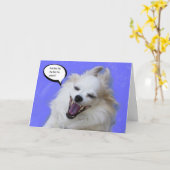 Het lachen Lang Haar Chihuahua door Nadruk voor Kaart (Gele Bloem)