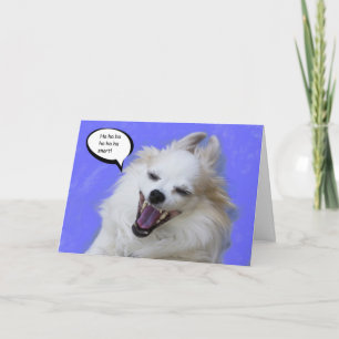 Het lachen Lang Haar Chihuahua door Nadruk voor Kaart