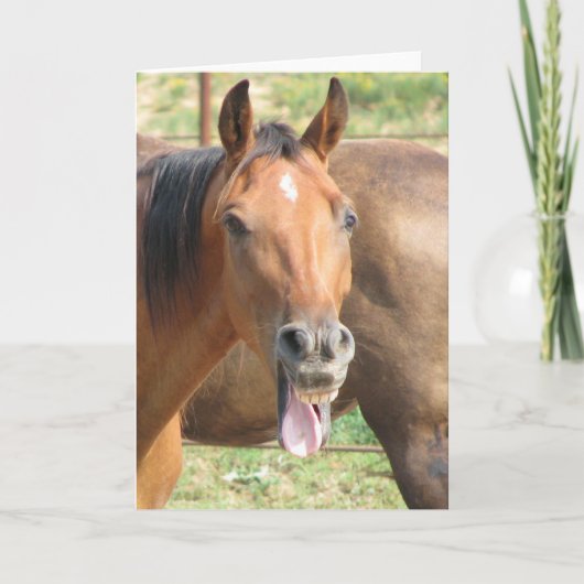 Het lachen Paard Kaart (Voorkant)