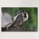 Het lachen van Kookaburra Bird in a Tree, 1014 stu Legpuzzel (Horizontaal)