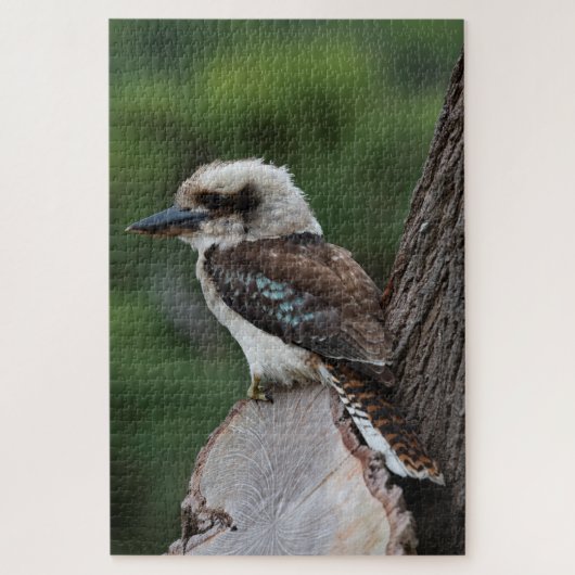 Het lachen van Kookaburra Bird in a Tree, 1014 stu Legpuzzel (Verticaal)