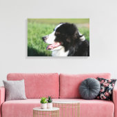 Het Lagen van de Puppy van de grens Canvas Afdruk (Insitu (Woonkamer))
