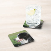 Het Lagen van de Puppy van de grens Drankjes Onderzetter (Rechterzijde)