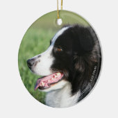 Het Lagen van de Puppy van de grens Keramisch Ornament (Links)