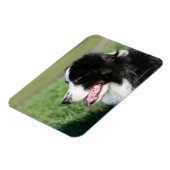 Het Lagen van de Puppy van de grens Magneet (Linkerzijde)