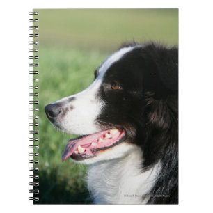 Het Lagen van de Puppy van de grens Notitieboek