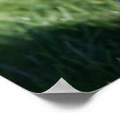 Het Lagen van de Puppy van de grens Poster (Hoek)