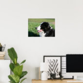 Het Lagen van de Puppy van de grens Poster (Thuiskantoor)