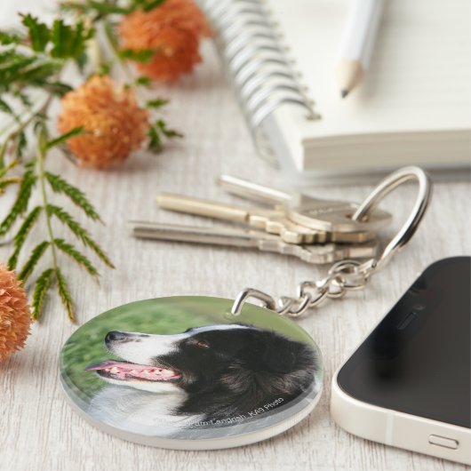 Het Lagen van de Puppy van de grens Sleutelhanger (Voorkant Rechts)